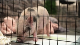 Floribama Shore - Season 04 Episdoe 20